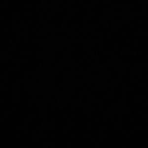 Meet your Posher, Diego